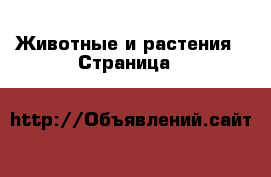  Животные и растения - Страница 7 